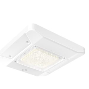 Canopy Lights