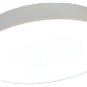 LED Trimless Downlight