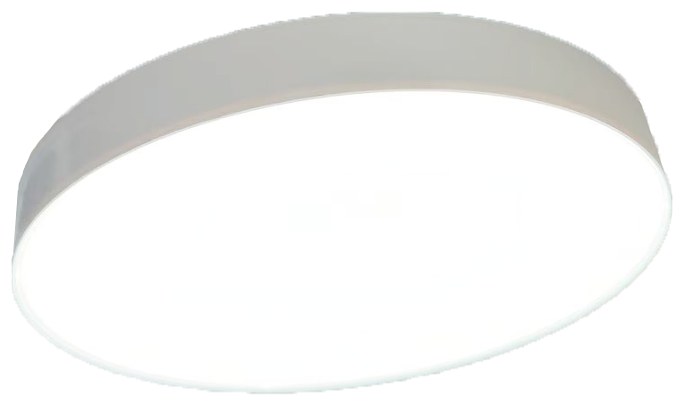 LED Trimless Downlight