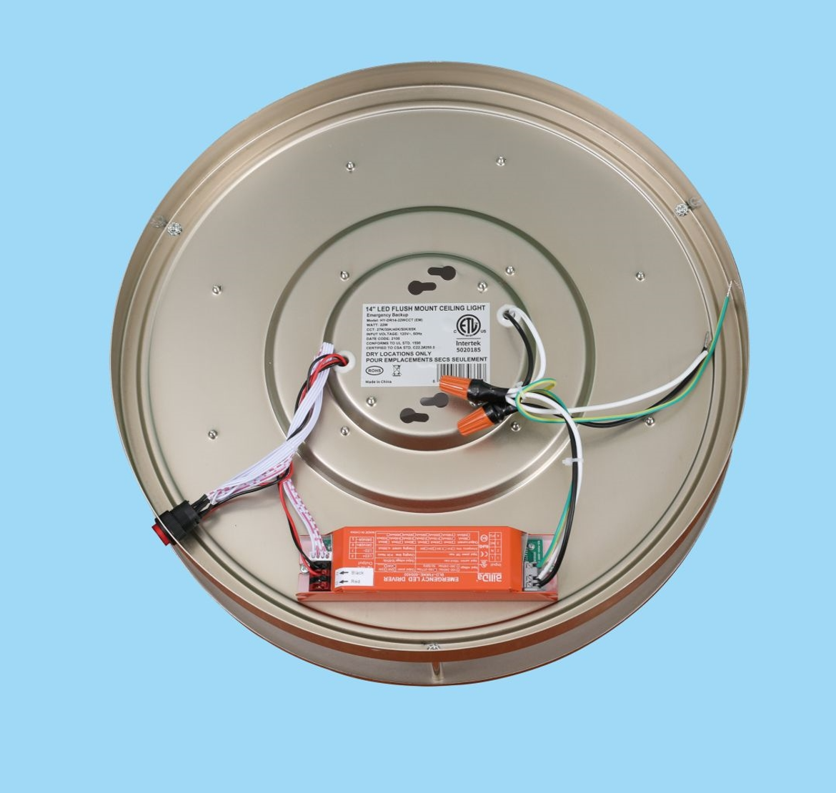LED Double Ring Flush Mount Ceiling Light - Image 5