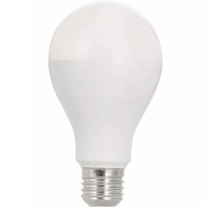 A19 LED Light Bulbs (Multi-Wattage & Color Selectable)