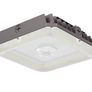 LED Garage Canopy Lights