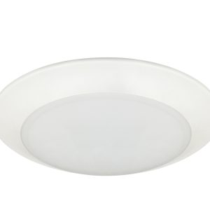 LED Disk Light
